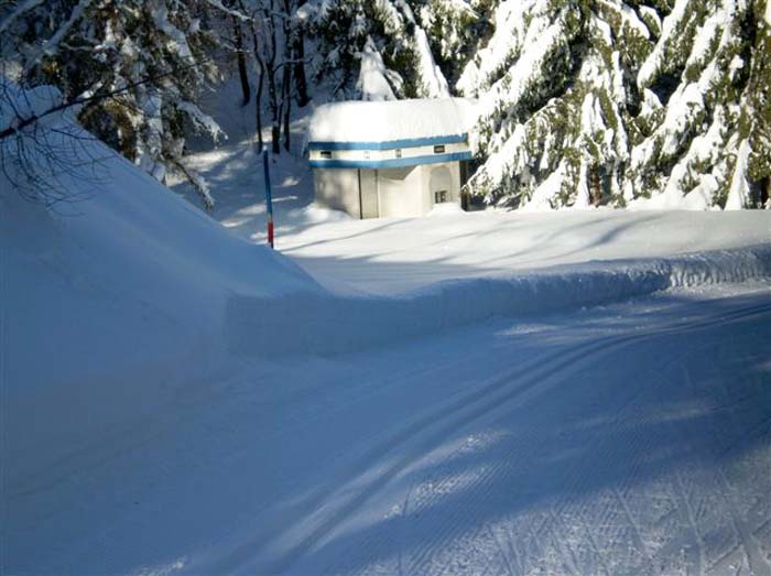 V7 Spessore della neve al 08.12.08