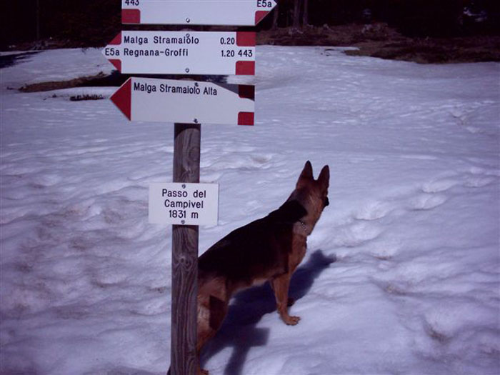 Rifugio